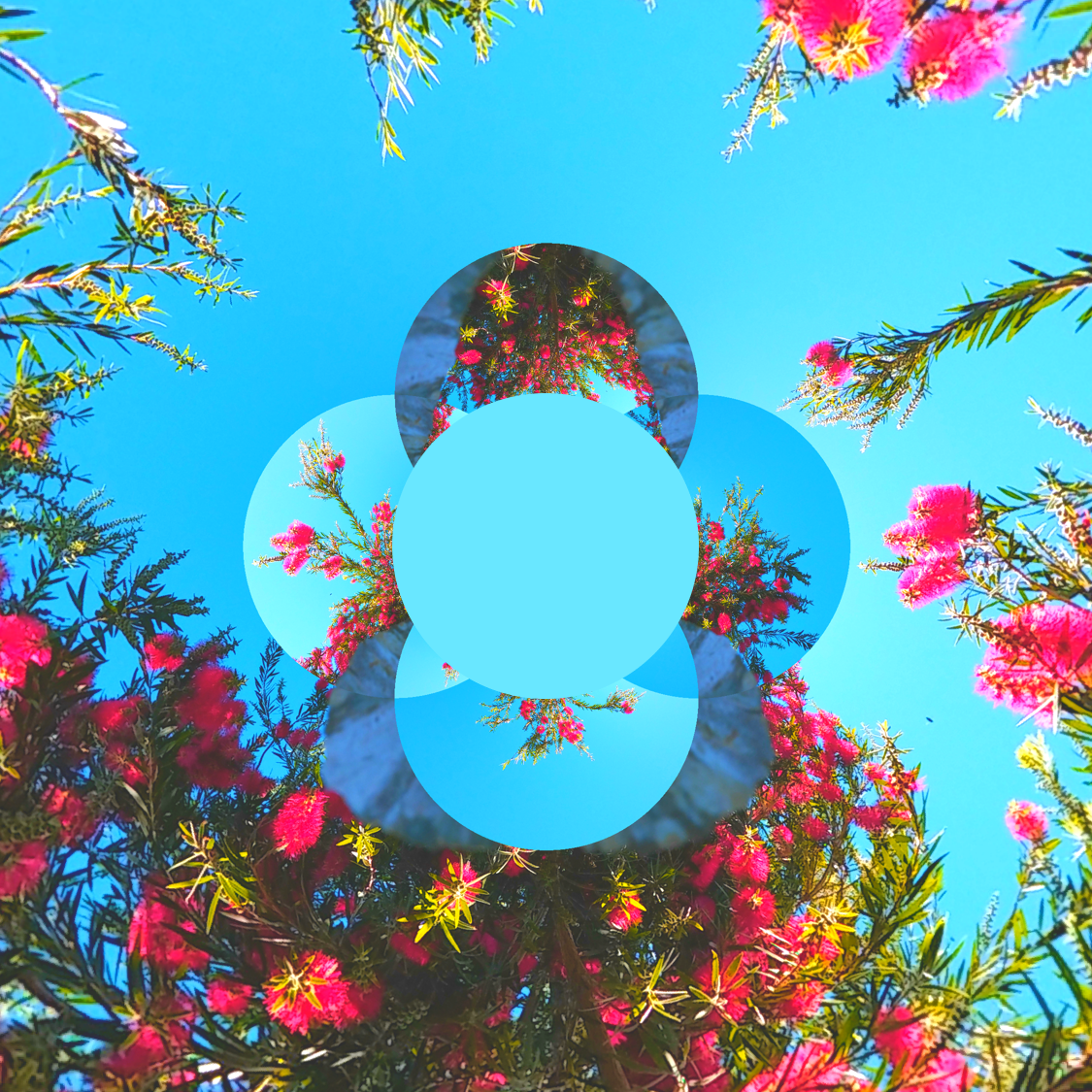 yes im gonna make it